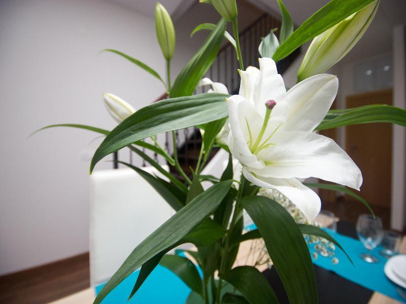 Oyo Style Apartments Puerto Walencja Zewnętrze zdjęcie